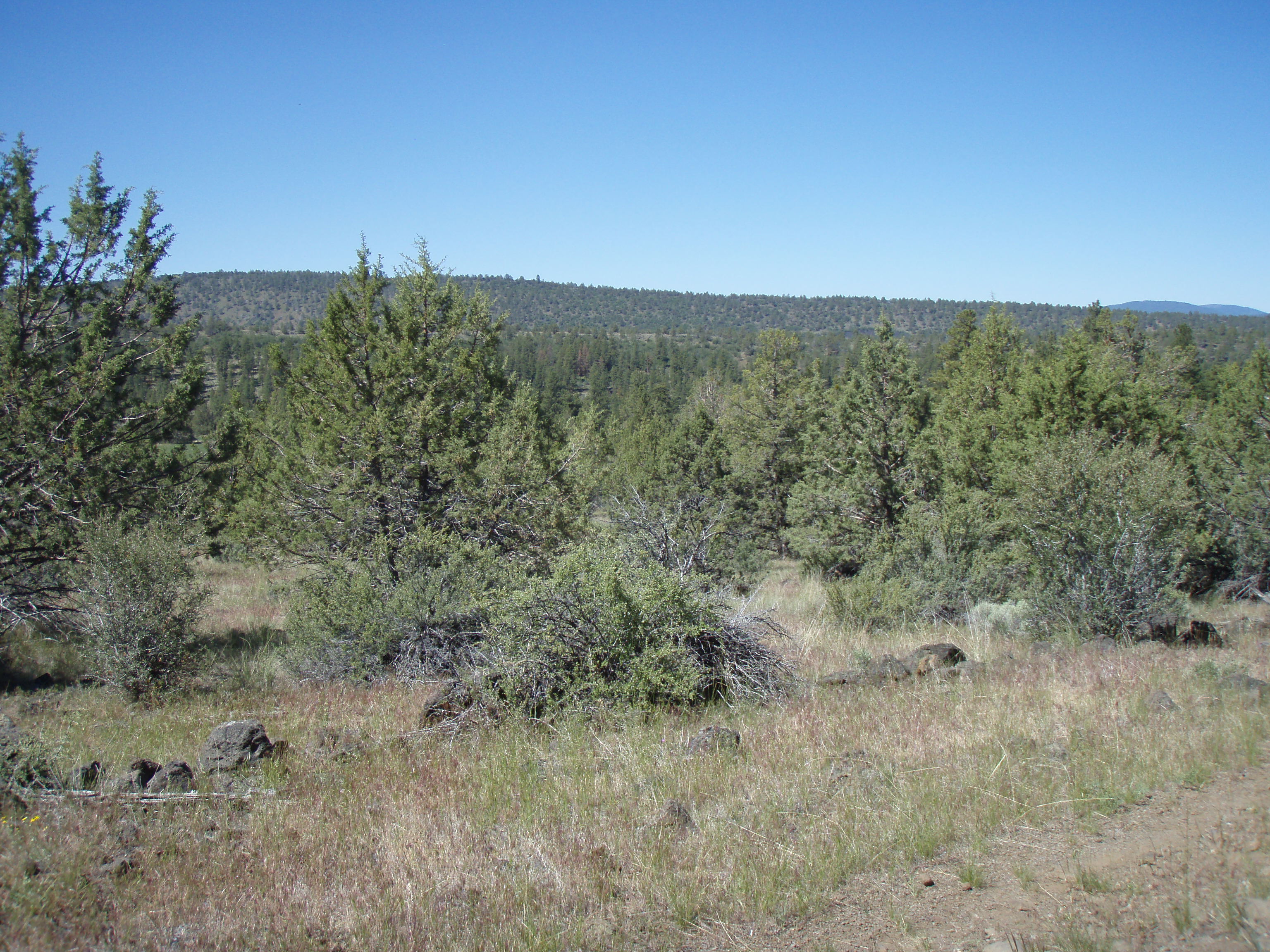 Klamath County Oregon land for sale real estate